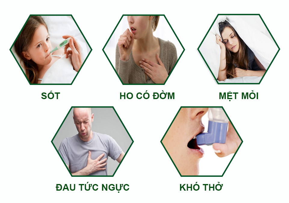 Dấu hiệu ho có đờm lâu ngày có phải triệu chứng bệnh viêm phế quản