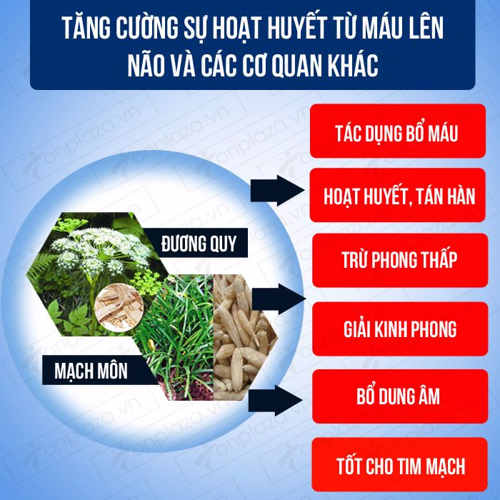 Đông y hỗ trợ, kích thích phục hồi các tế bào não